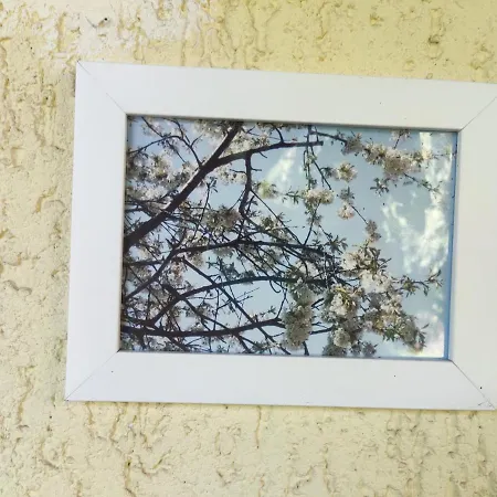 Five Oaks - Weisse * Hohenkirchen (Nordwestmecklenburg)