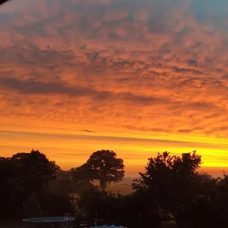 Apartment Five Oaks - Weisse