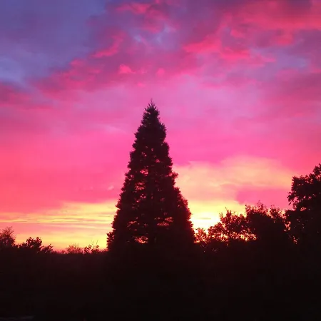 Apartment Five Oaks - Weisse Hohenkirchen (Nordwestmecklenburg)