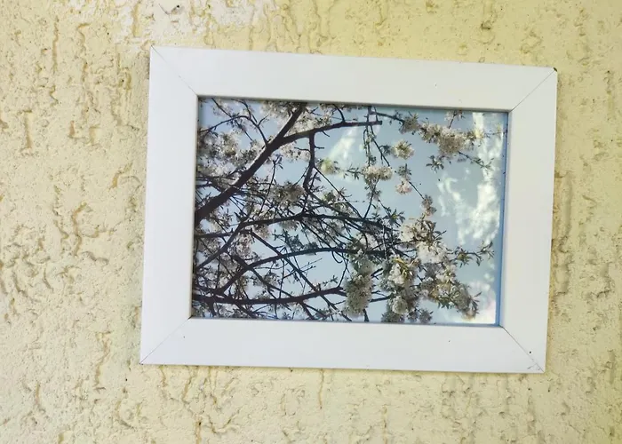 Five Oaks - Weisse * Hohenkirchen (Nordwestmecklenburg)