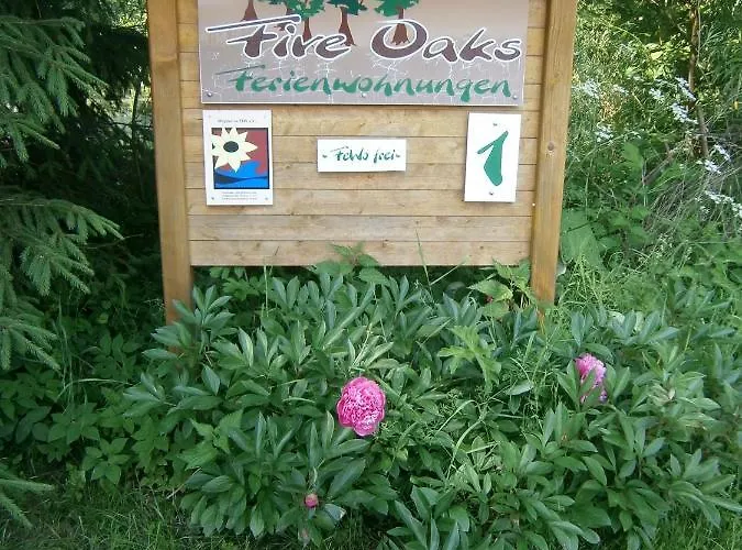 Five Oaks - Weisse * Hohenkirchen (Nordwestmecklenburg)