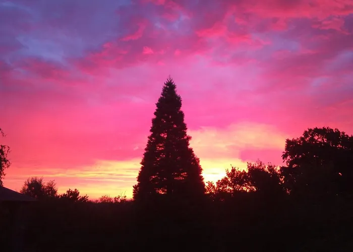 Lejlighed Five Oaks - Weisse Hohenkirchen (Nordwestmecklenburg)